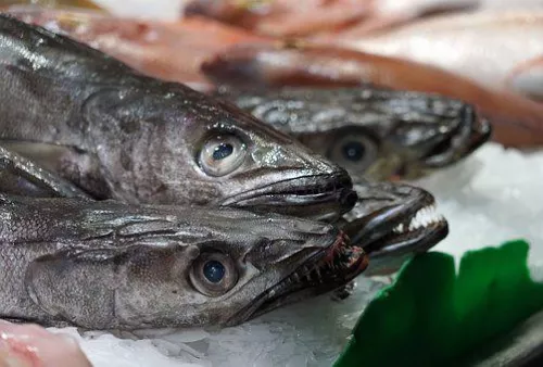 Коренные жители Чукотки просят сократить квоты на промысловый вылов рыбы